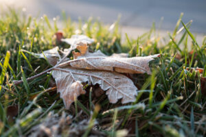Photo taken by .