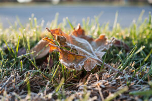 Photo taken by .