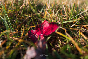 Photo taken by .