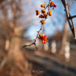 Photo taken by .