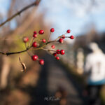 Photo taken by .