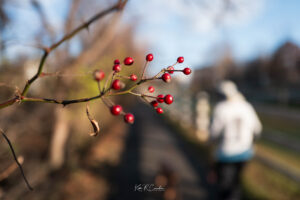 Photo taken by .