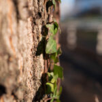 Photo taken by .