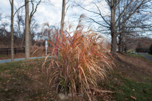 Photo taken by .