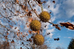 Photo taken by .