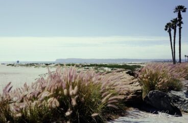 LEICA Q3 on Coronado March 2026