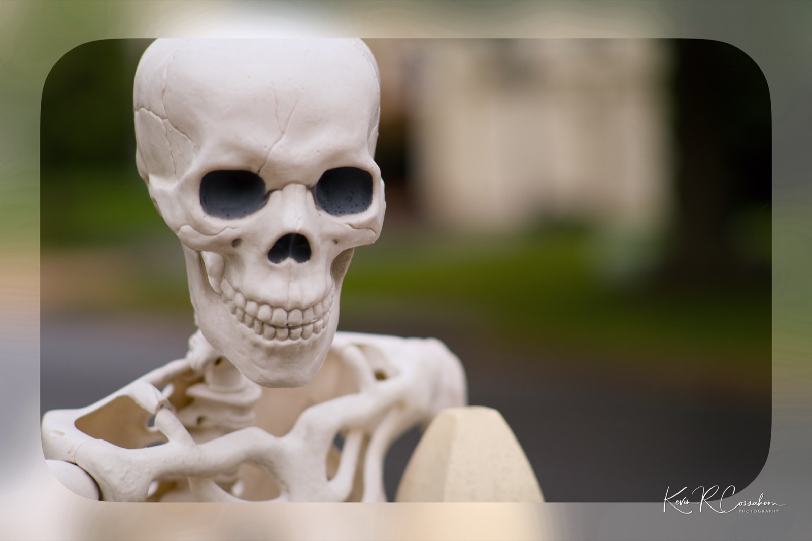 A plastic skeleton against a blurred suburban street
