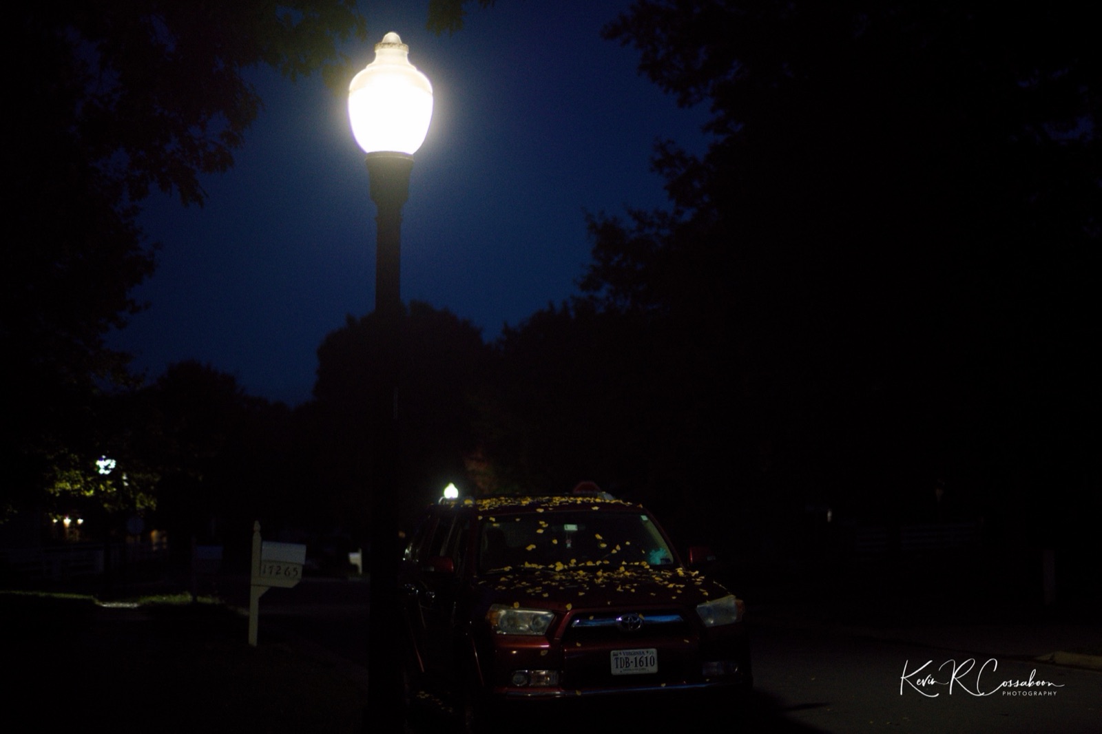 Streetlight over a car covered in yellow leaves