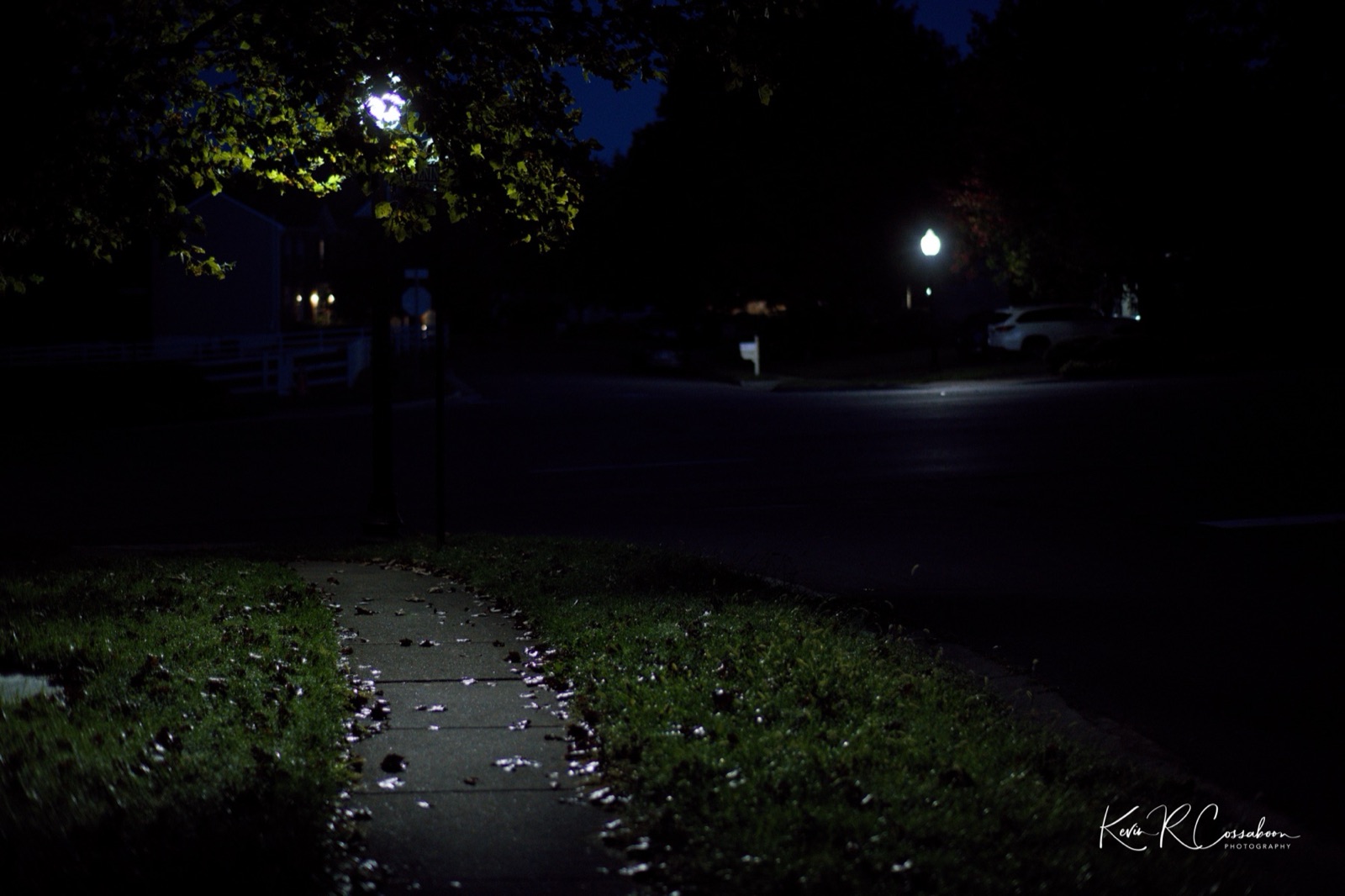 A wet sidewalk lit by streetlamps